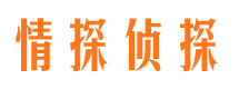 百色捉小三公司